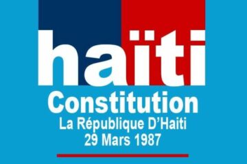 Critiques contre le projet de réforme de la Constitution