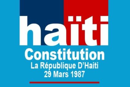 Critiques contre le projet de réforme de la Constitution