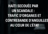 Haïti secouée par un scandale : trafic d’organes et contrebande d’anguilles au cœur de l’État