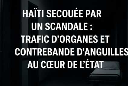 Haïti secouée par un scandale : trafic d’organes et contrebande d’anguilles au cœur de l’État
