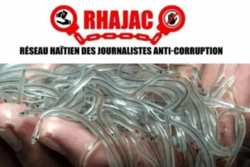 Trafic d’organes, drogue, corruption : Haïti abandonnée à ses prédateurs