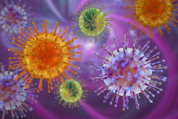 Brésil : deux cas confirmés de hantavirus, neuf autres personnes sous enquête sanitaire Brésil : deux cas confirmés de hantavirus, neuf autres personnes sous enquête sanitaire