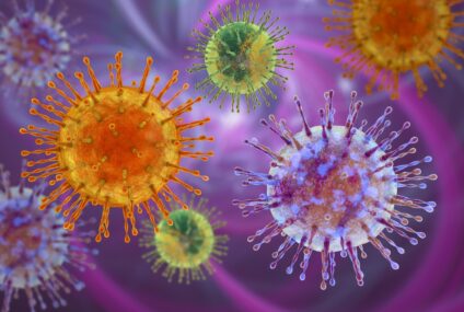 Brésil : deux cas confirmés de hantavirus, neuf autres personnes sous enquête sanitaire