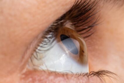 L’intelligence artificielle aux portes du miracle : des scientifiques ouvrent la voie au retour de la vision chez les aveugles